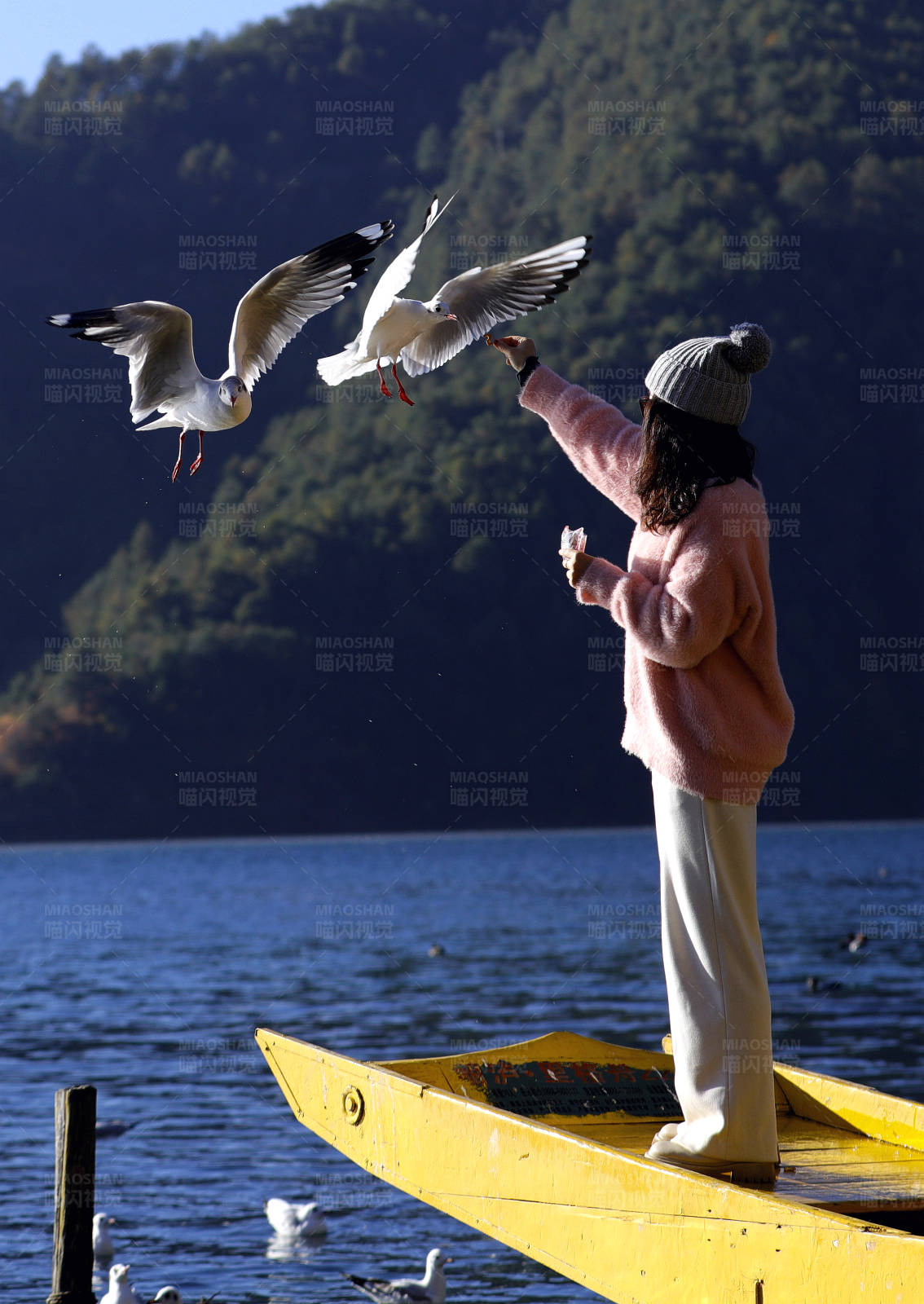 泸沽湖畔投喂海鸥的女孩图片