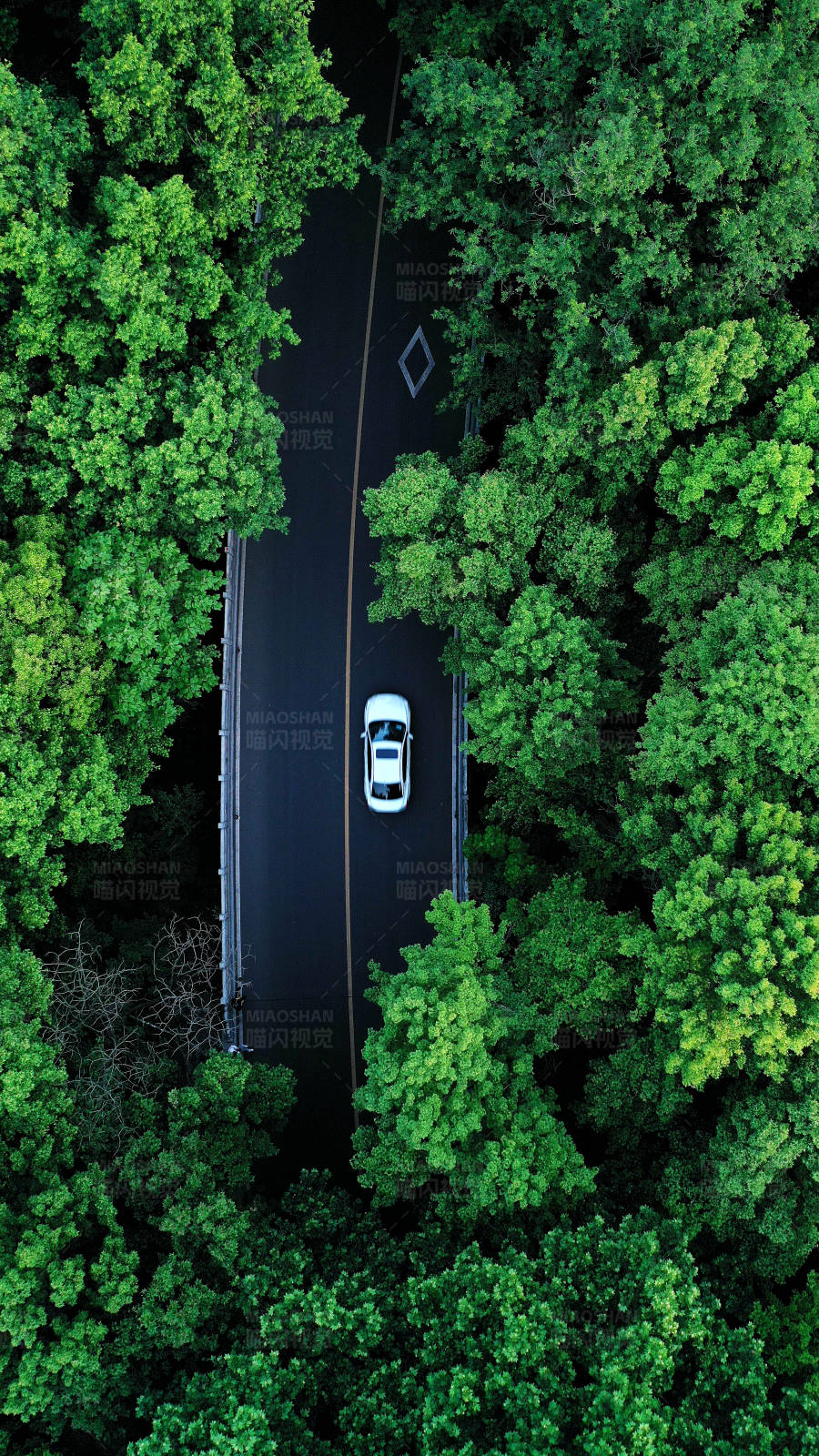 航拍森林公路上的一辆白色汽车图片