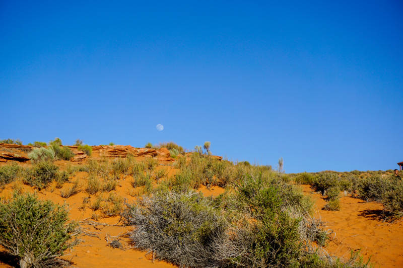 沙漠中的月亮图片