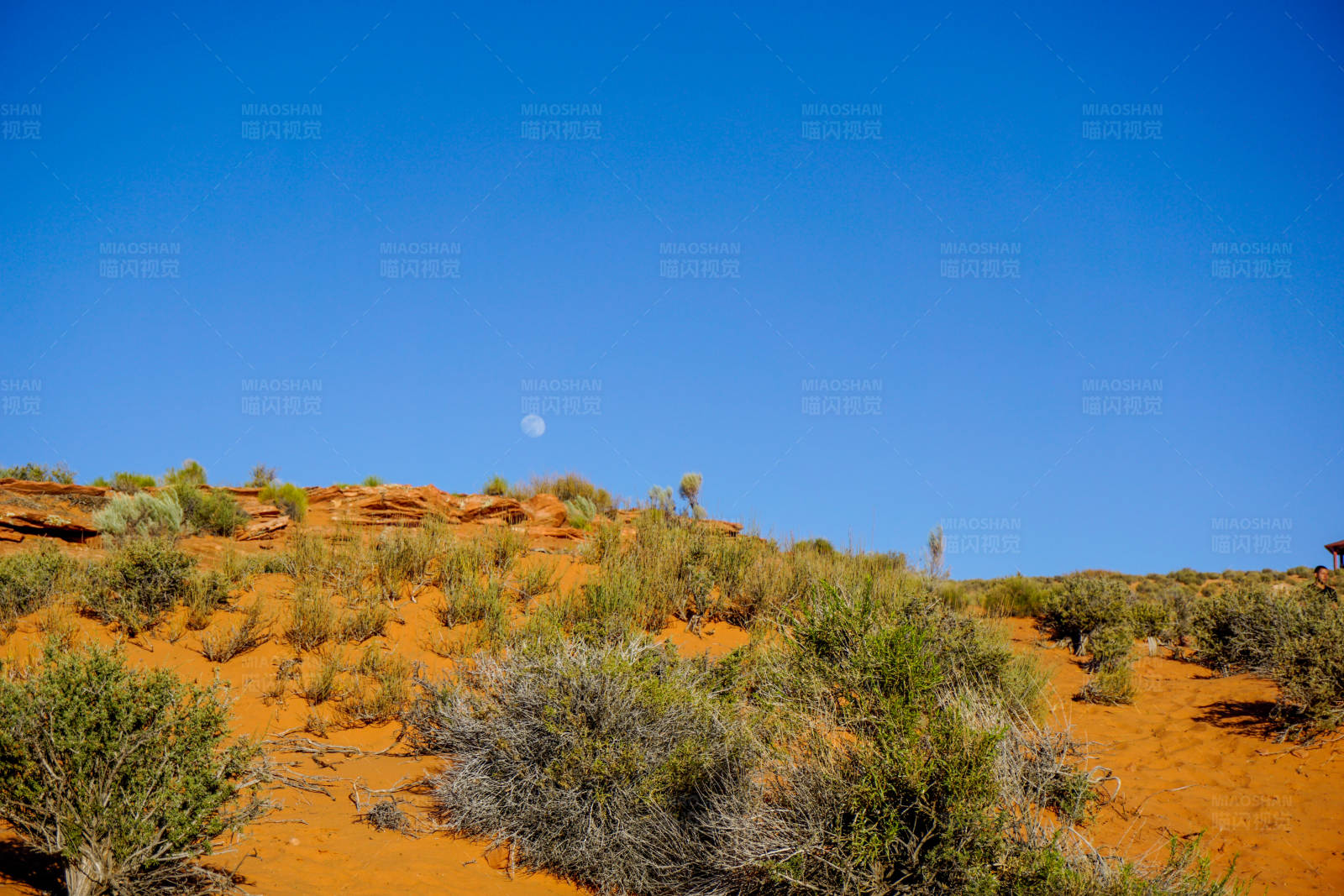 沙漠中的月亮图片