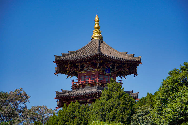 古塔耸立 绿树环绕图片