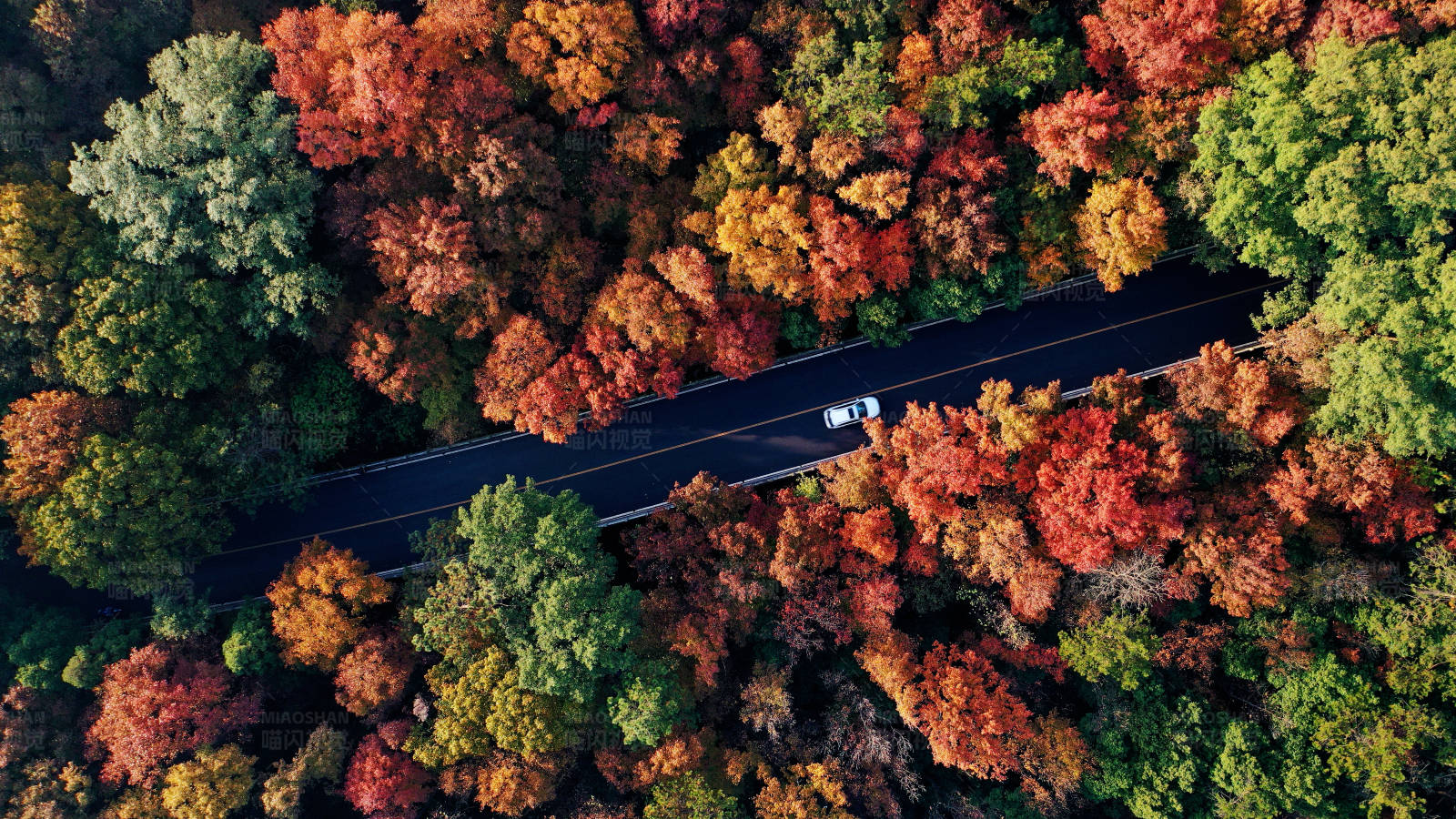 秋日森林中一辆白色汽车的孤独旅程图片