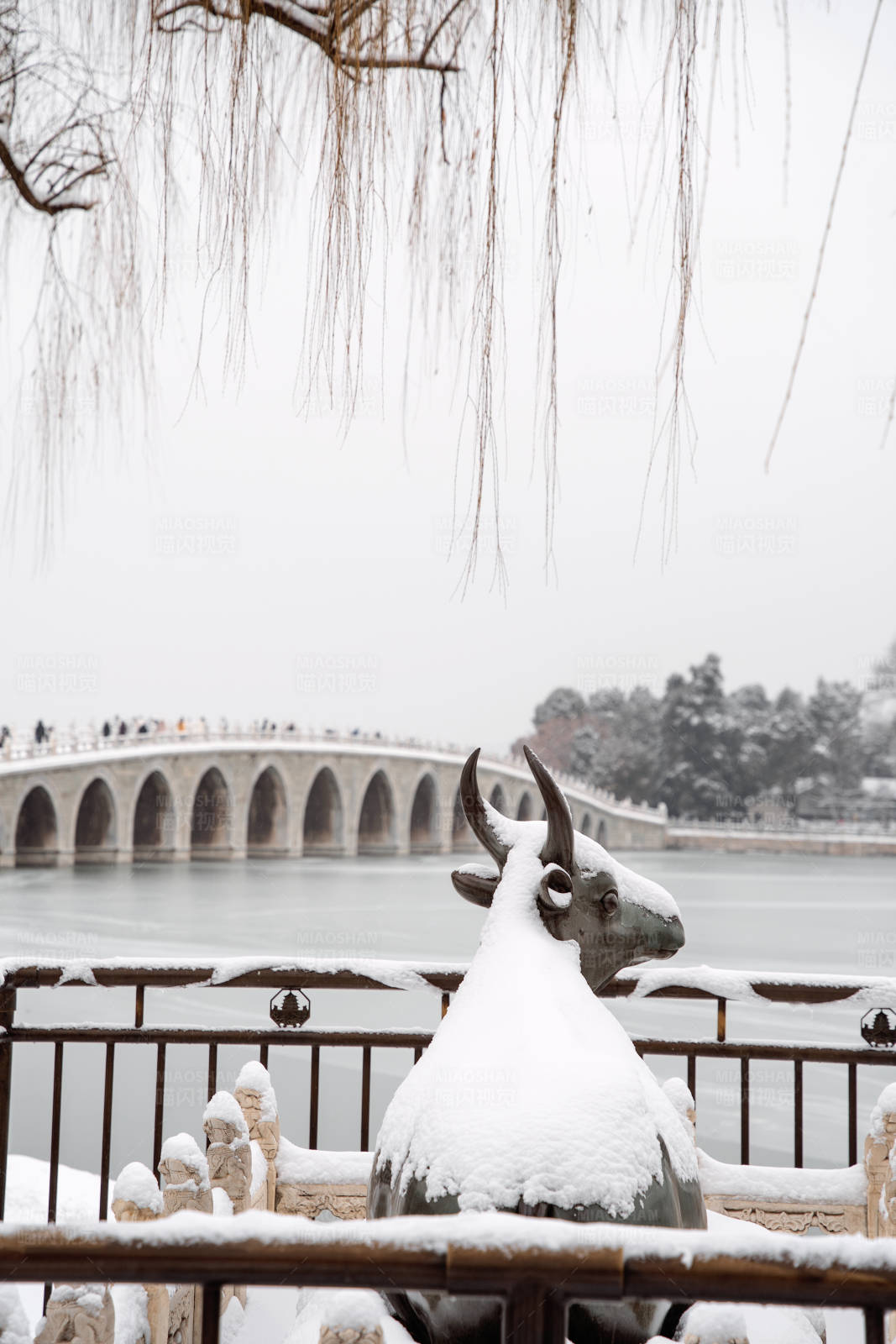 雪中的十七孔桥图片