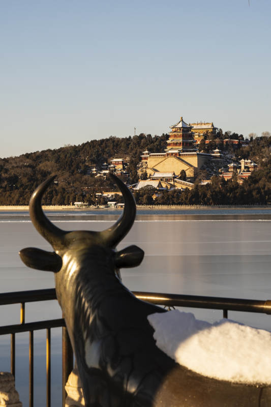 铜牛守望颐和园图片