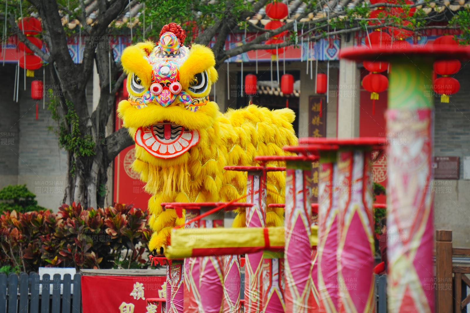 黄狮舞动庆新春图片