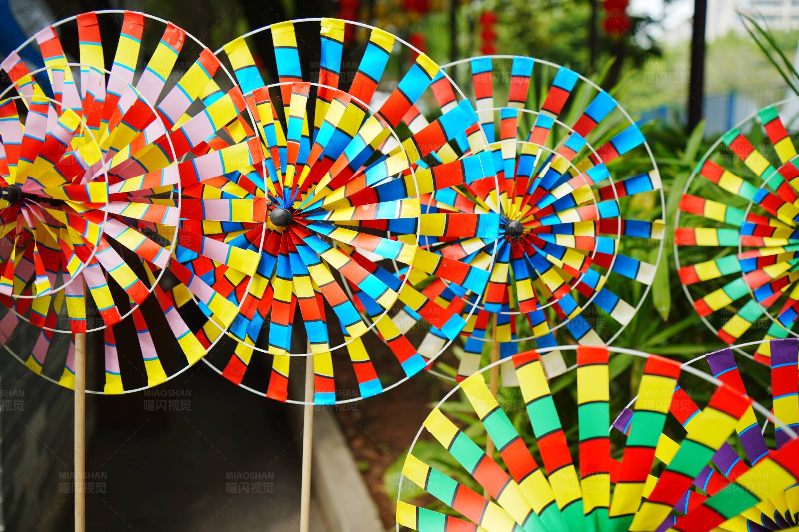 彩色风车转不停图片