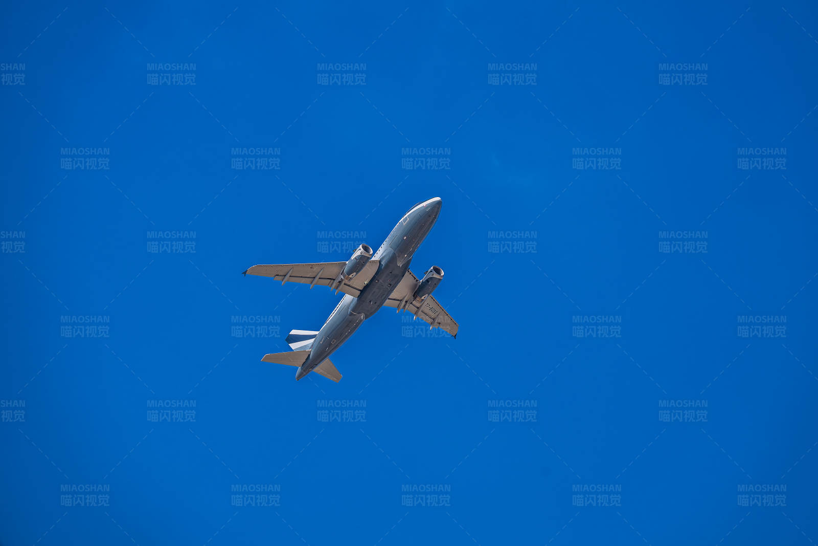 蓝天下的飞行图片