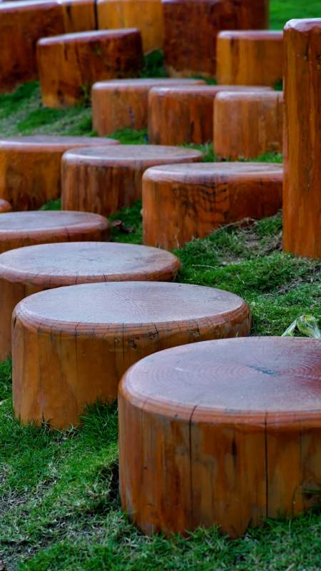树桩座椅图片