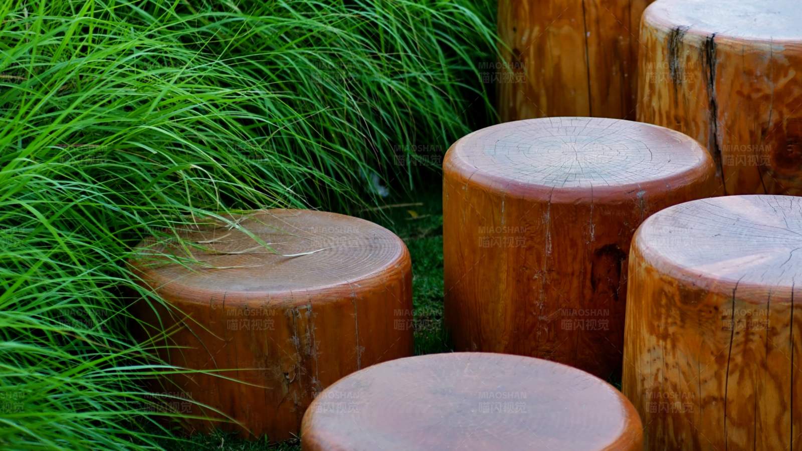 木桩与绿草图片