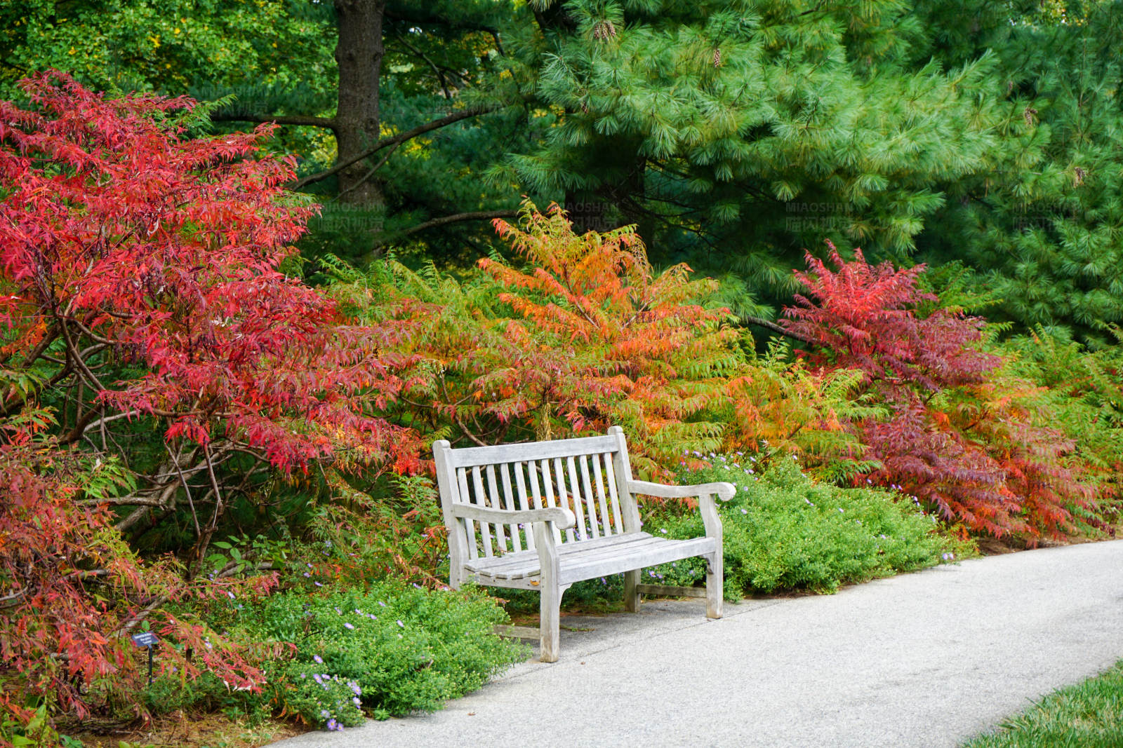 秋日公园长椅图片