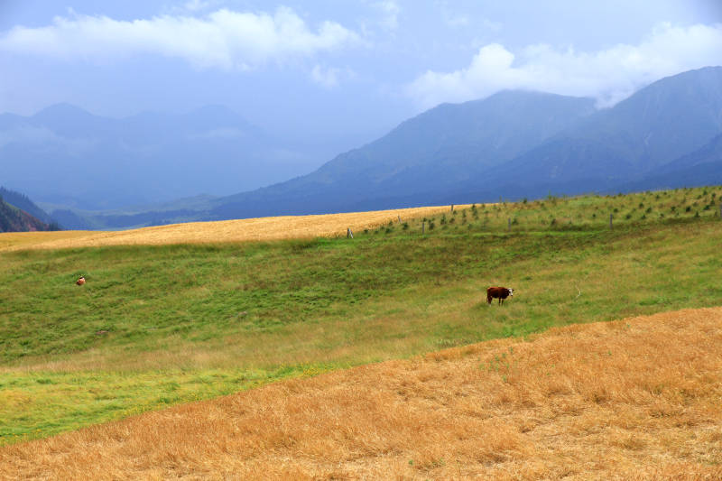 青海卓尔山风光图片