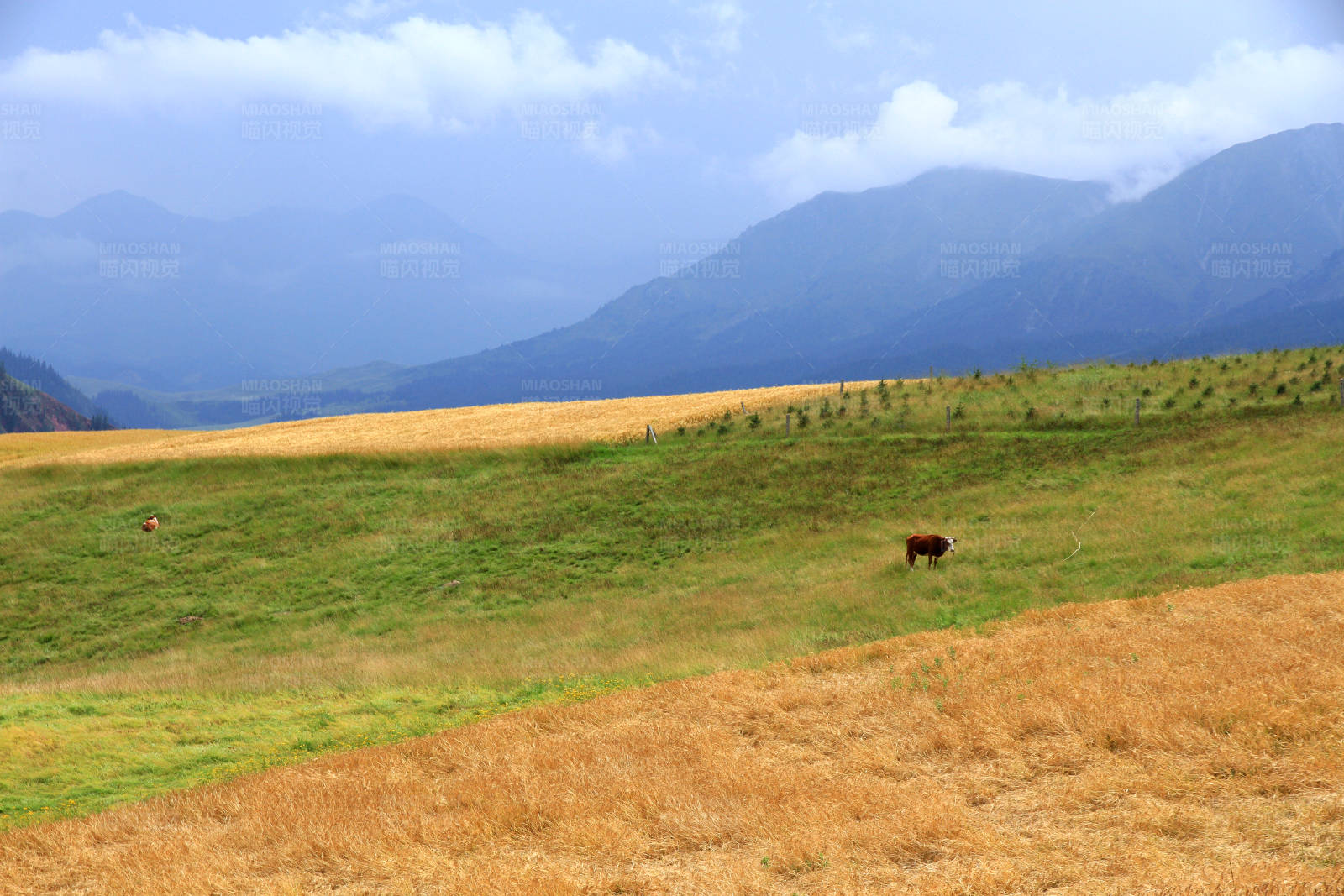 青海卓尔山风光图片