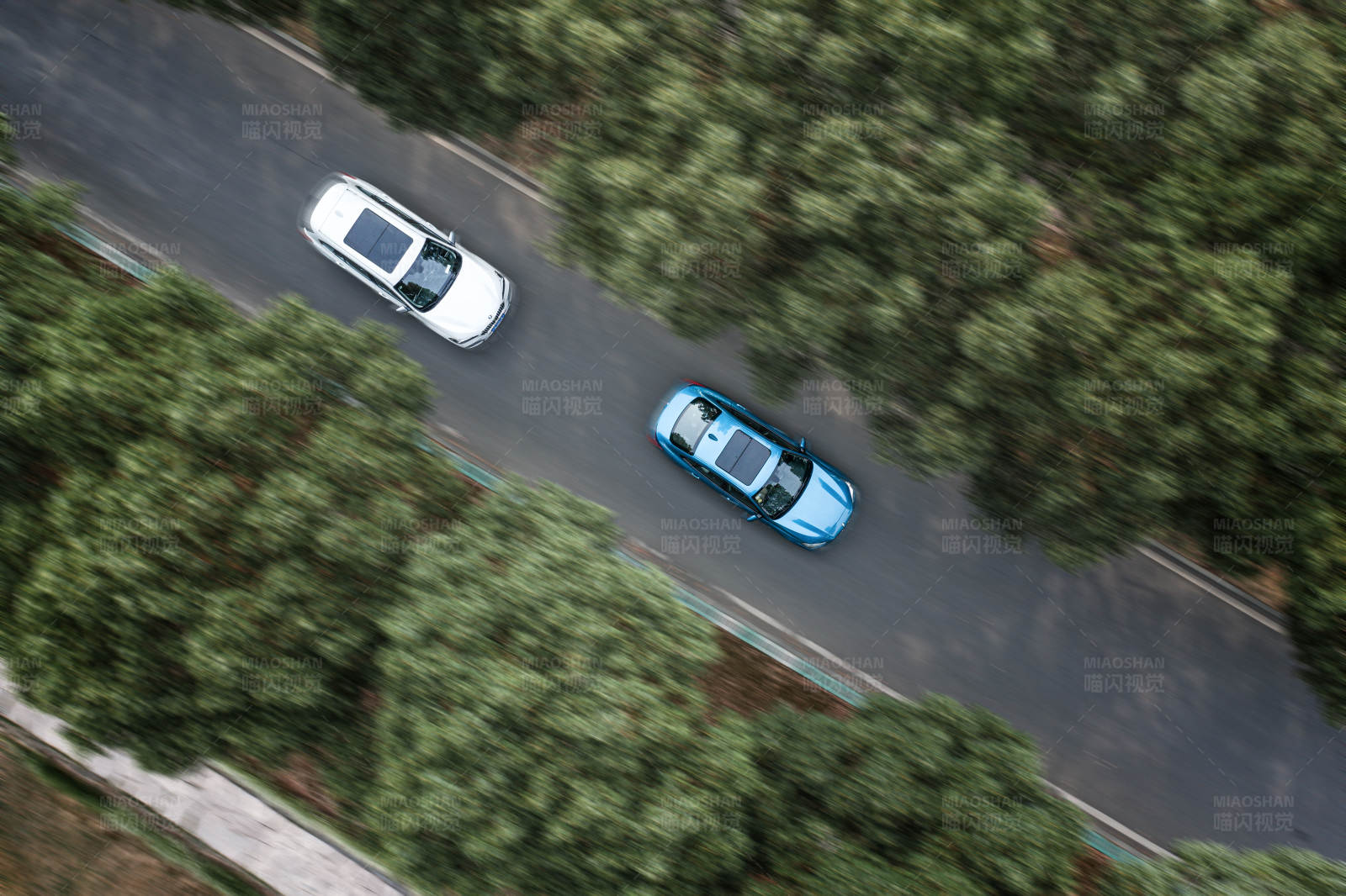 两车林间路图片