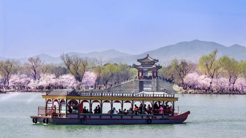 春日游船赏花图片