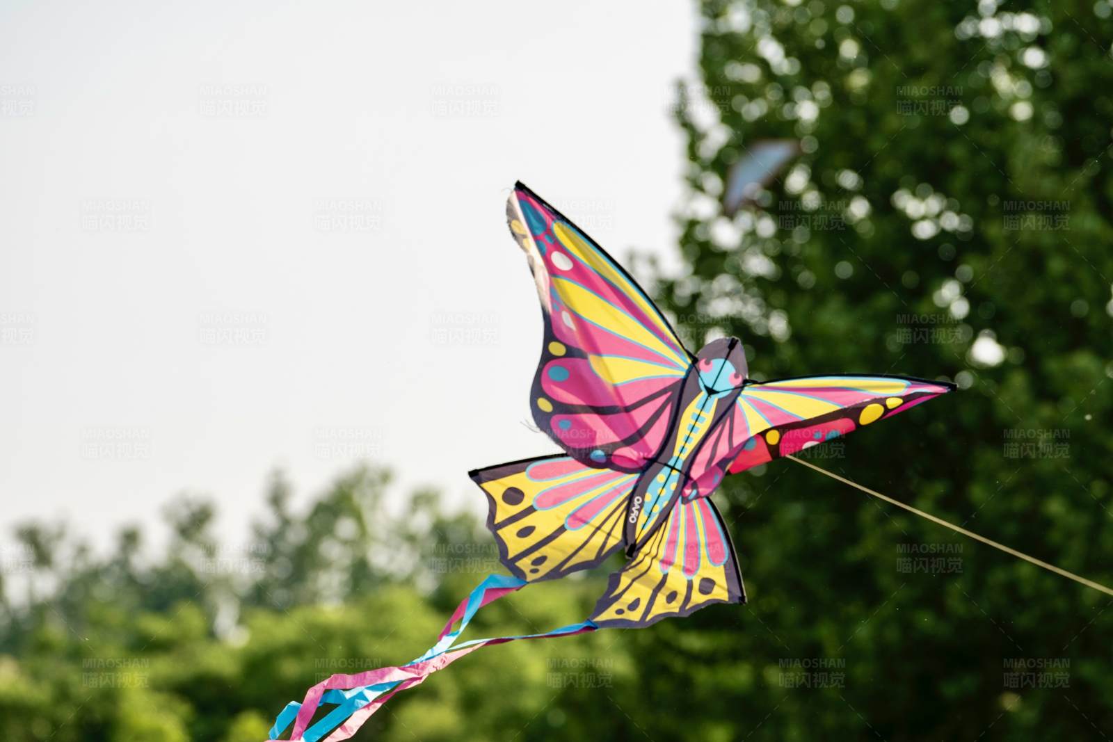 蝴蝶风筝在空中飞翔图片