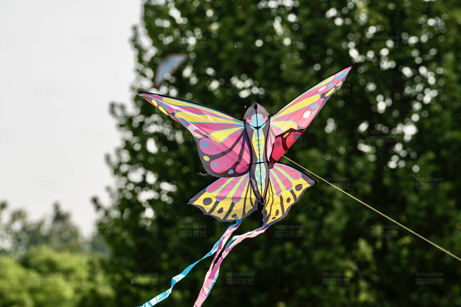 蝴蝶风筝在空中飞翔图片