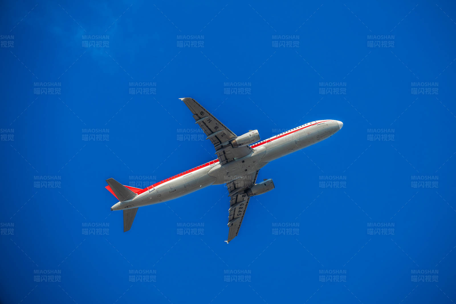 蓝天下的飞行图片