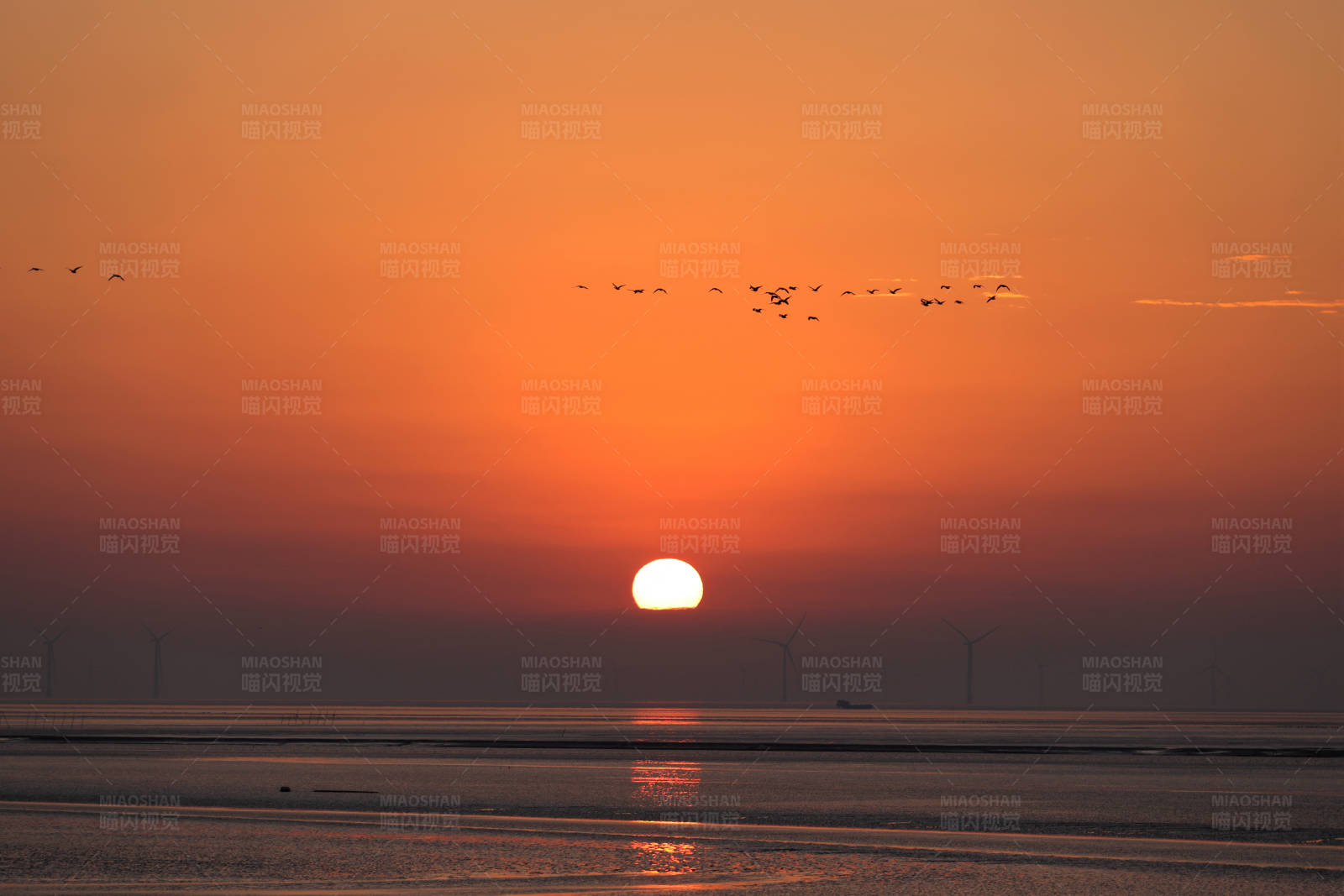 海上日出风车鸟群图片