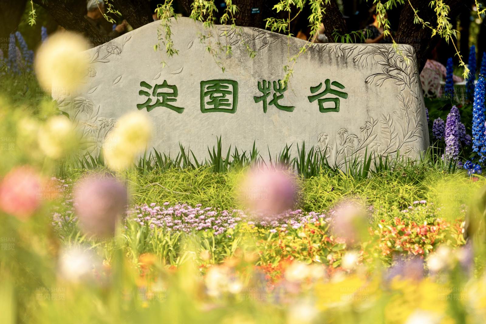 淀园花谷景区图片