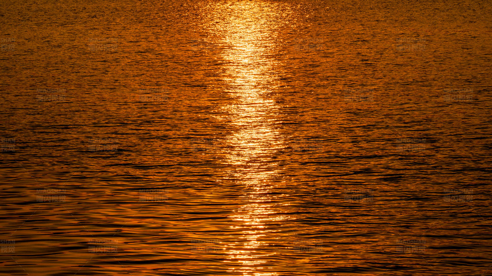 夕阳映照水面图片