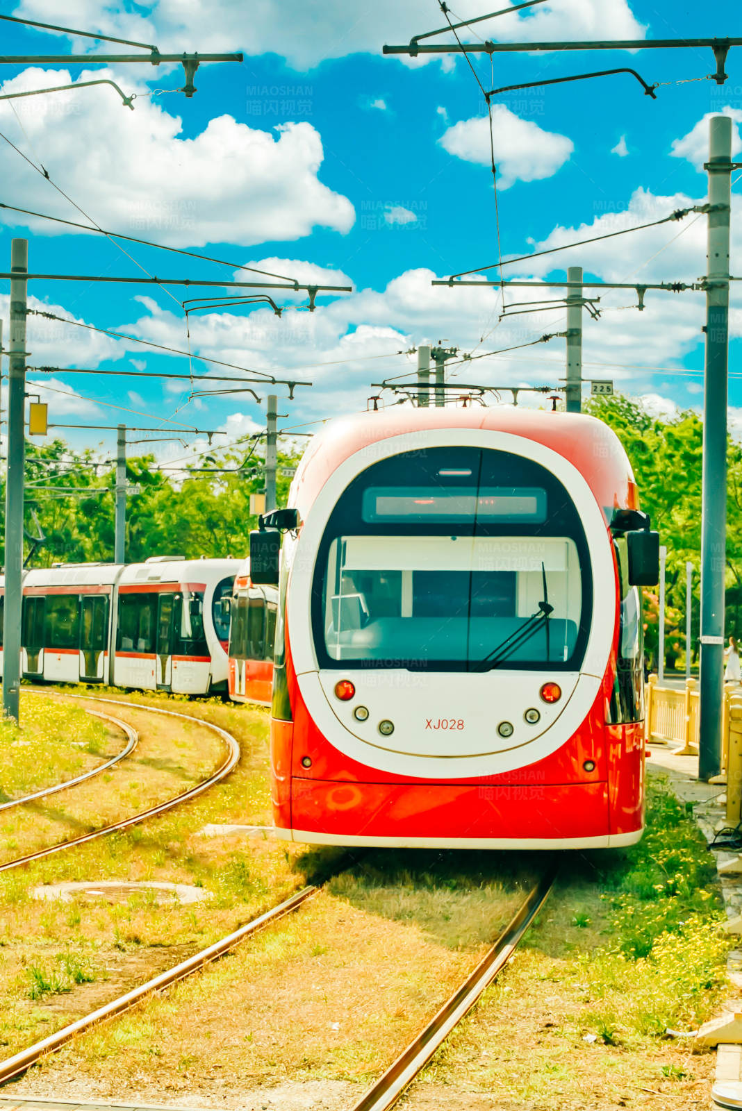 现代有轨电车在阳光下图片