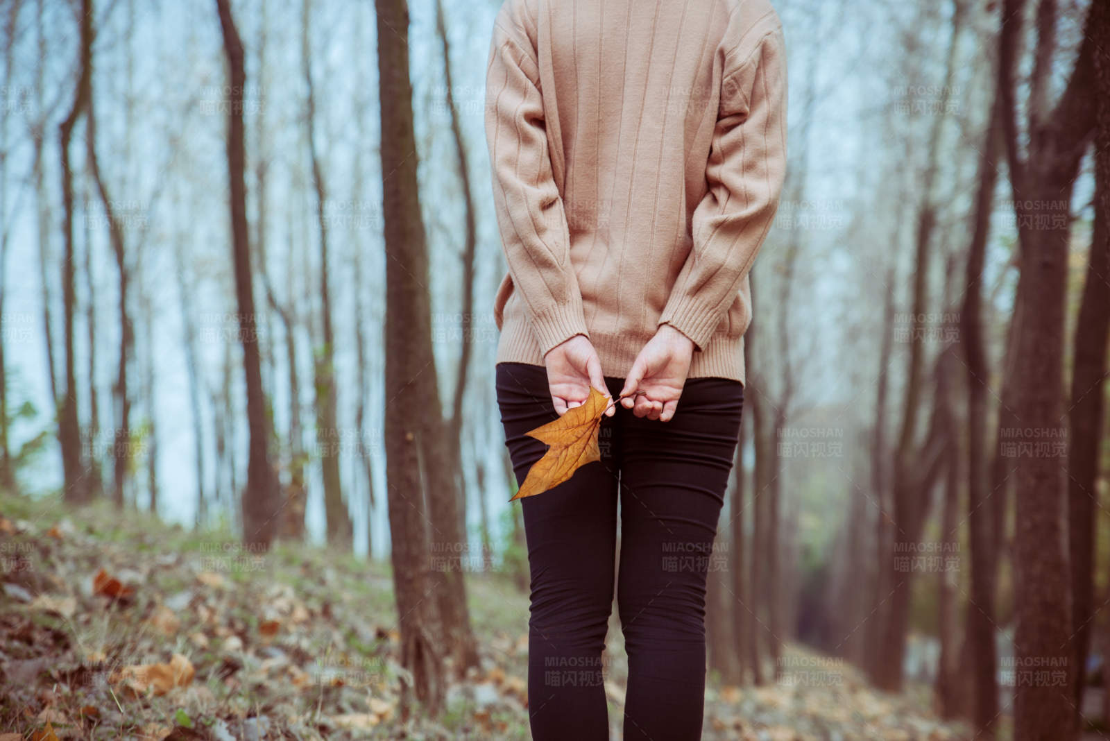 秋日森林中的温暖背影图片