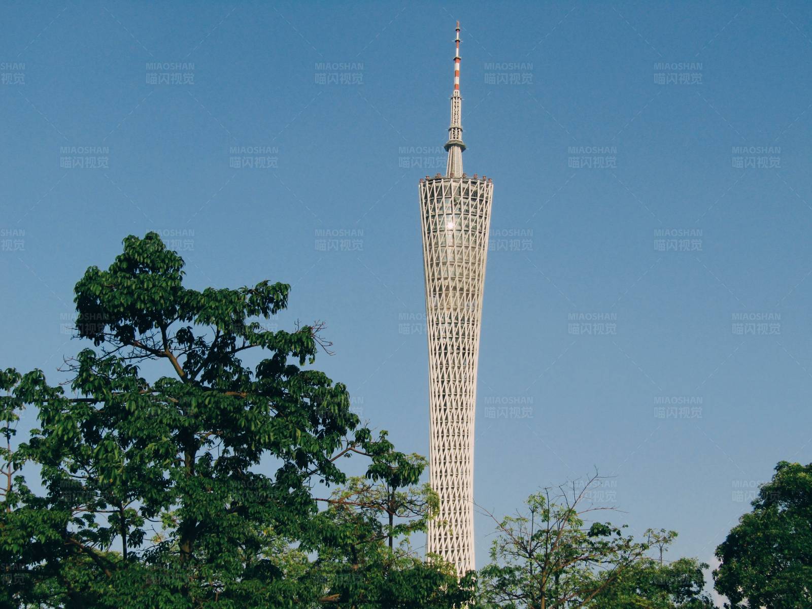 广州塔 现代建筑奇观图片