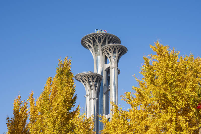 秋日银杏与塔楼图片