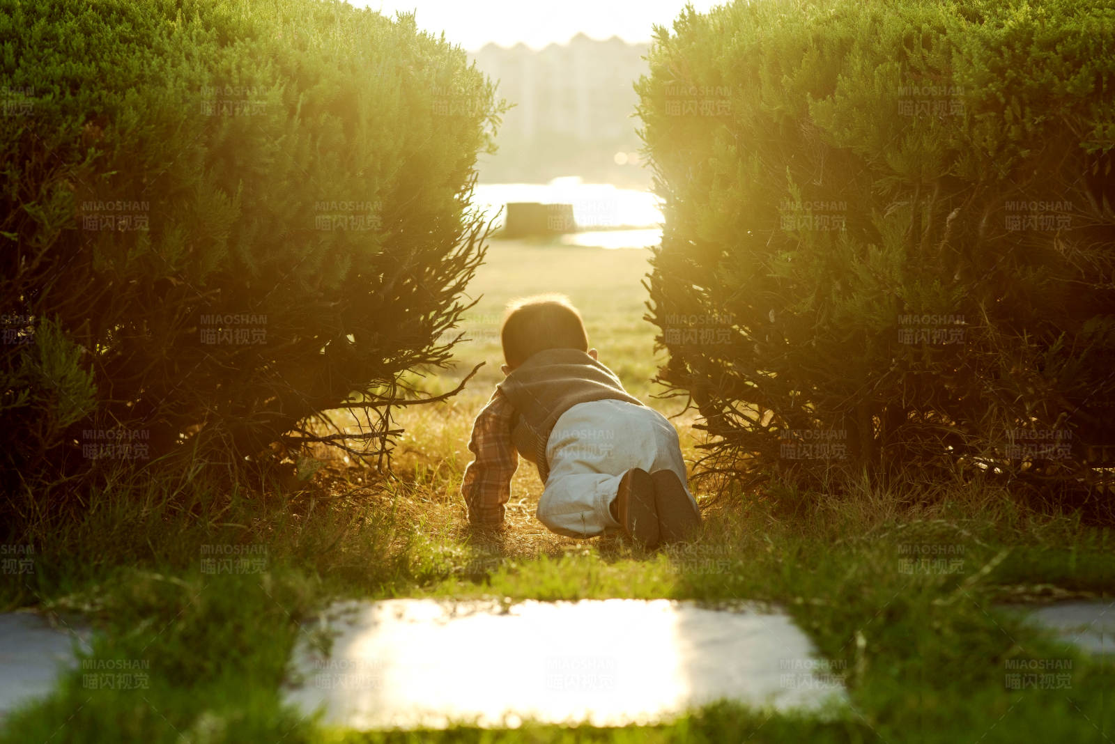 夕阳下的小探险家图片