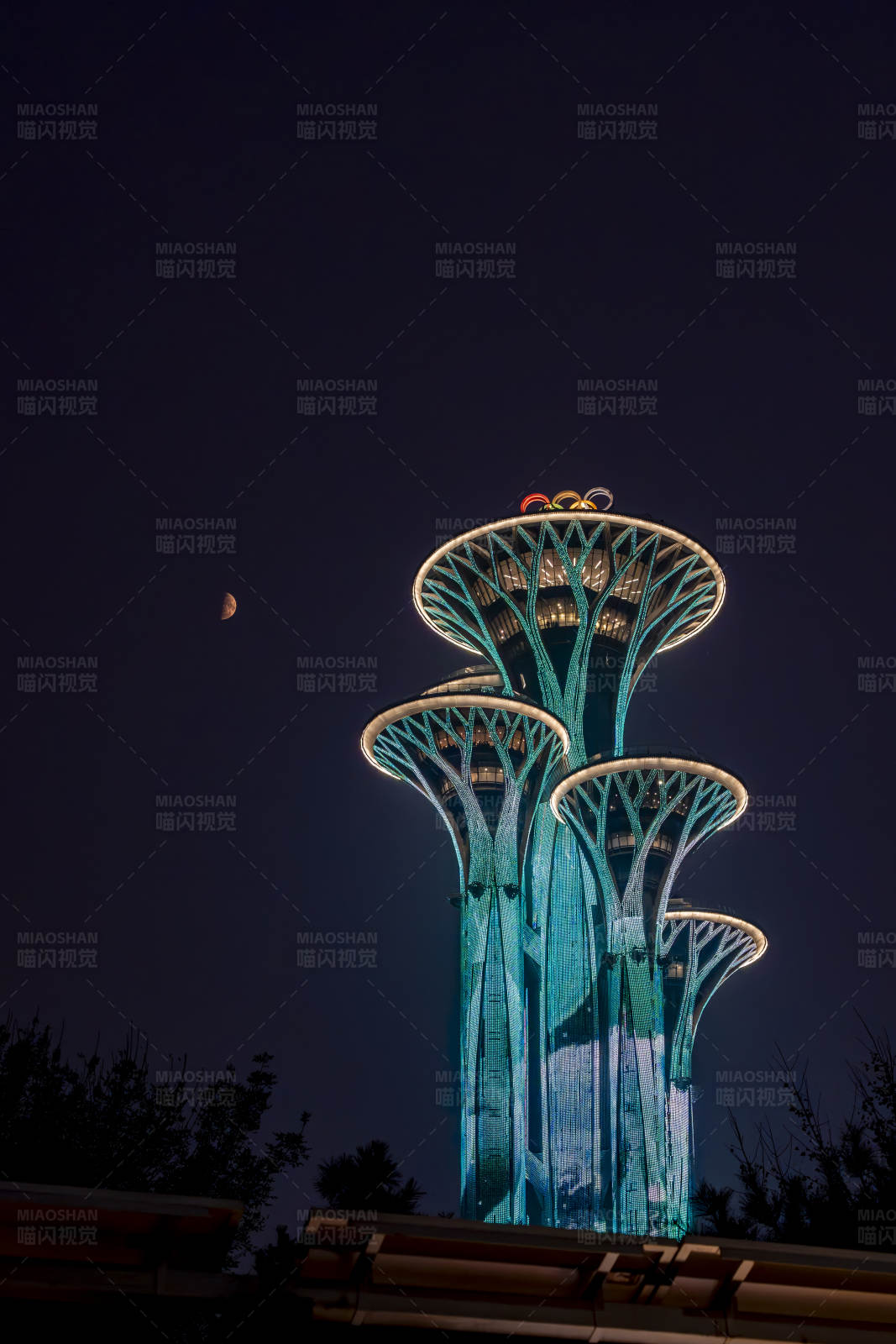 夜色中的奥运塔图片