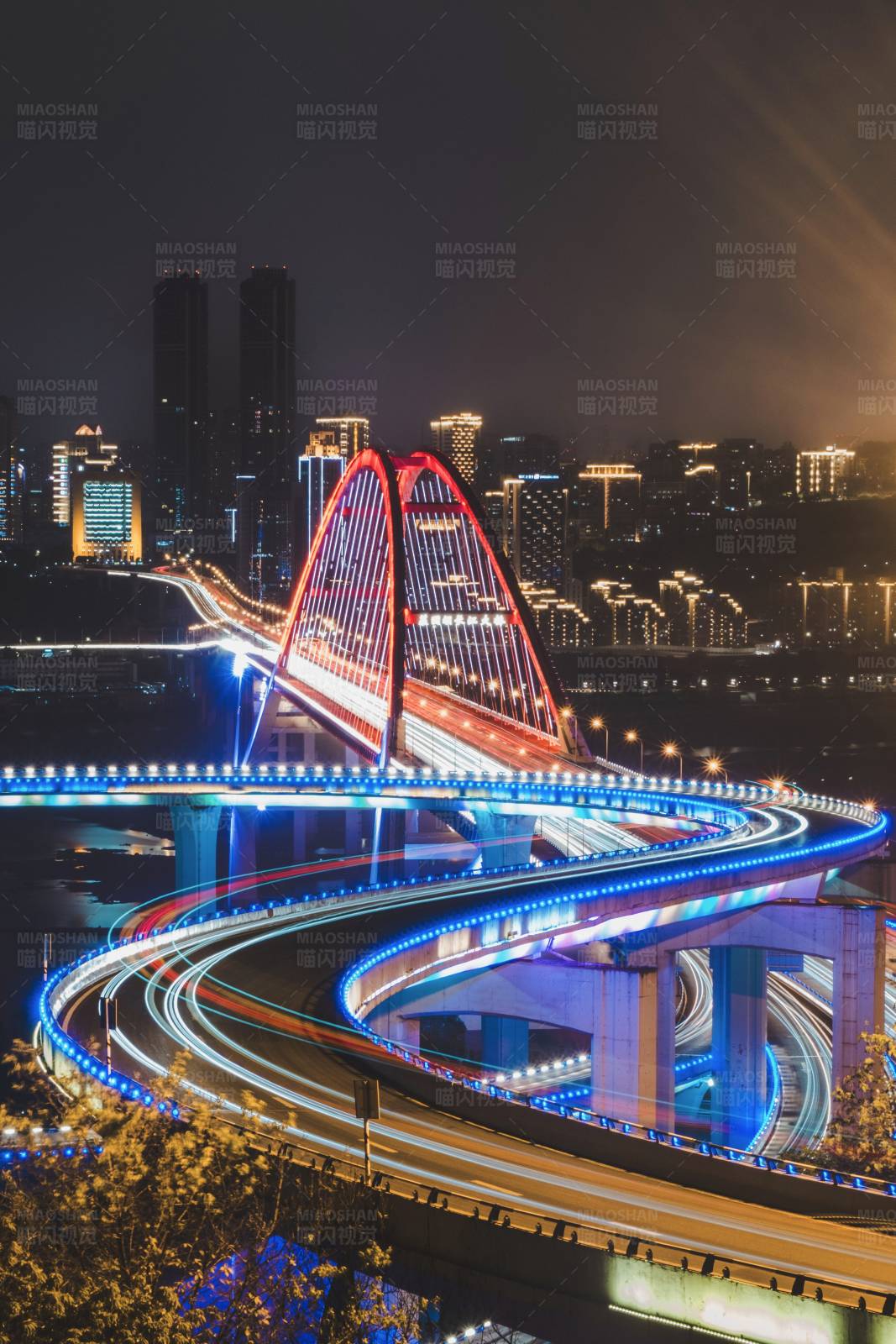 重庆菜园坝大桥图片