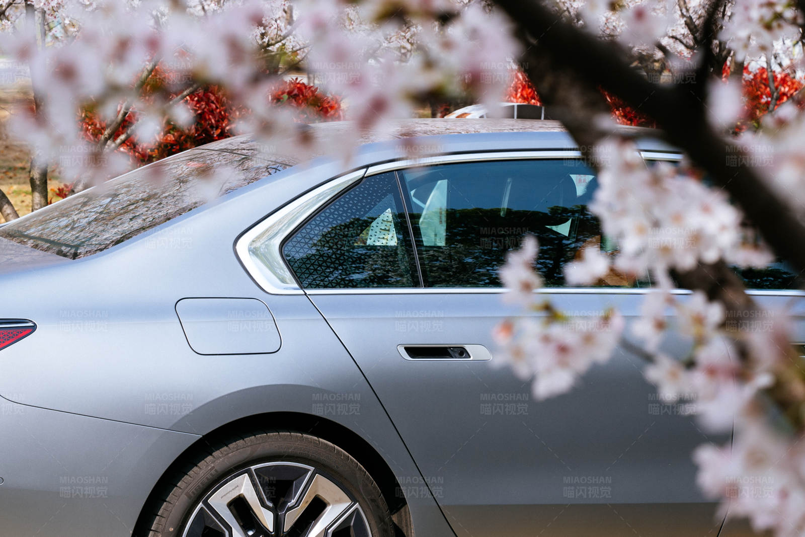 樱花下的银色轿车图片