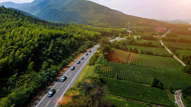 山间公路与茶园图片