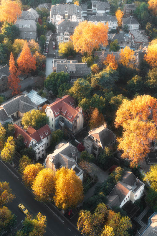 秋日城市俯瞰图图片