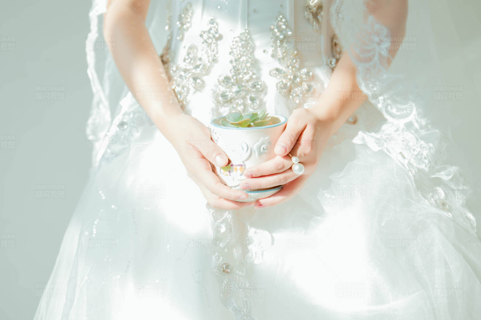 新娘手捧多肉植物图片