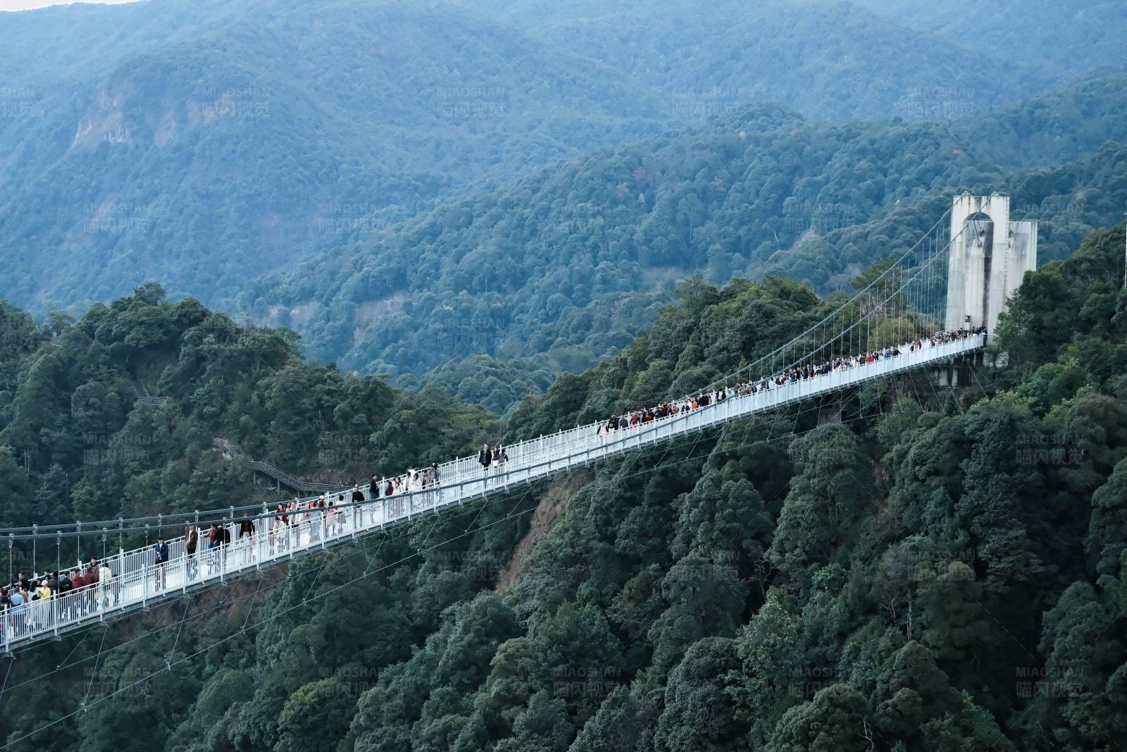 山间悬索桥图片