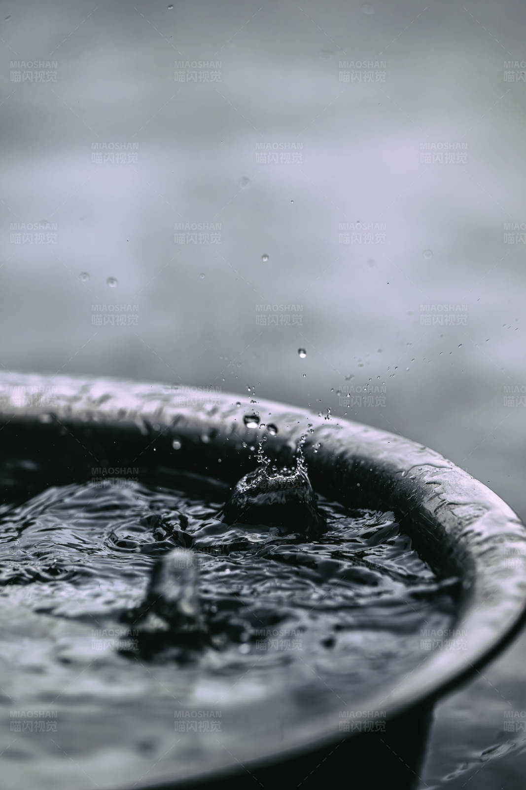 雨滴落入水盆图片