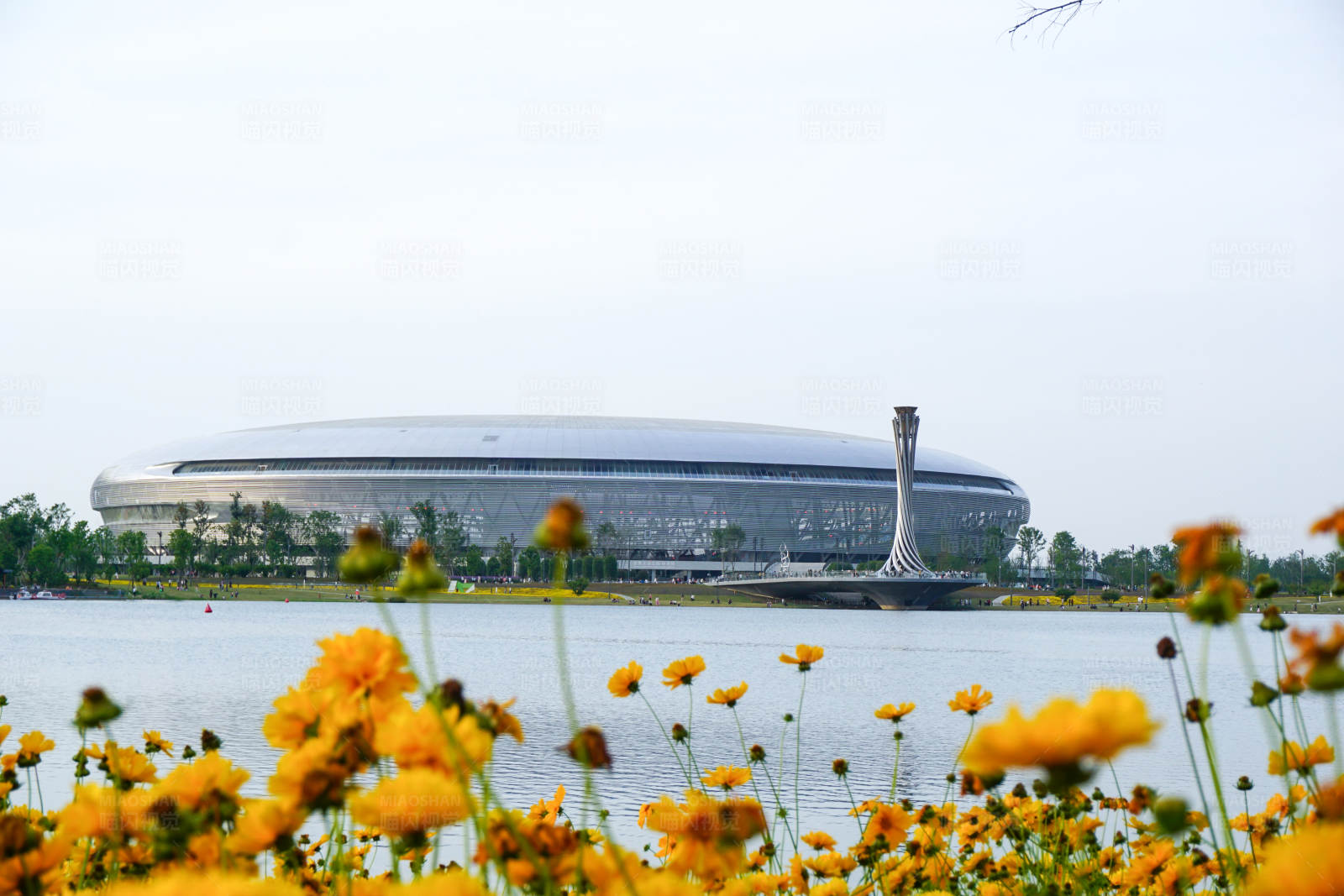 湖畔花海与现代建筑图片