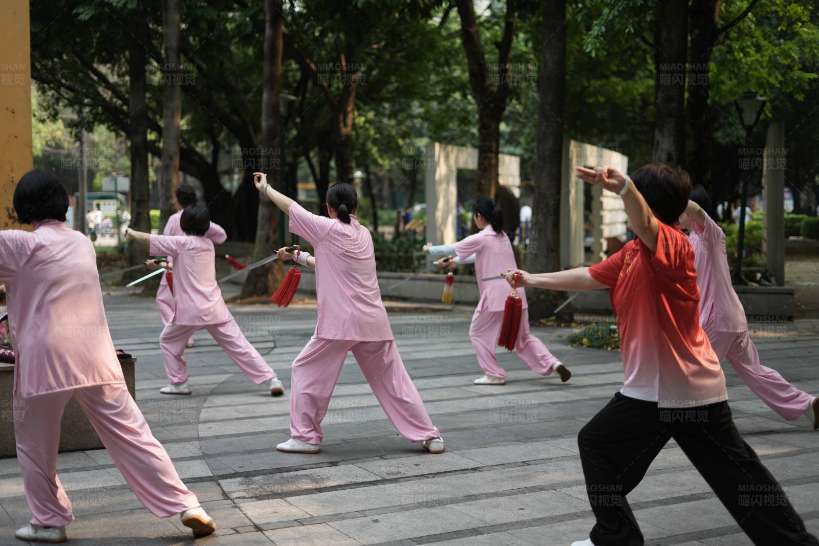 公园晨练太极图片