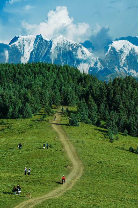 雪山下的森林小径图片