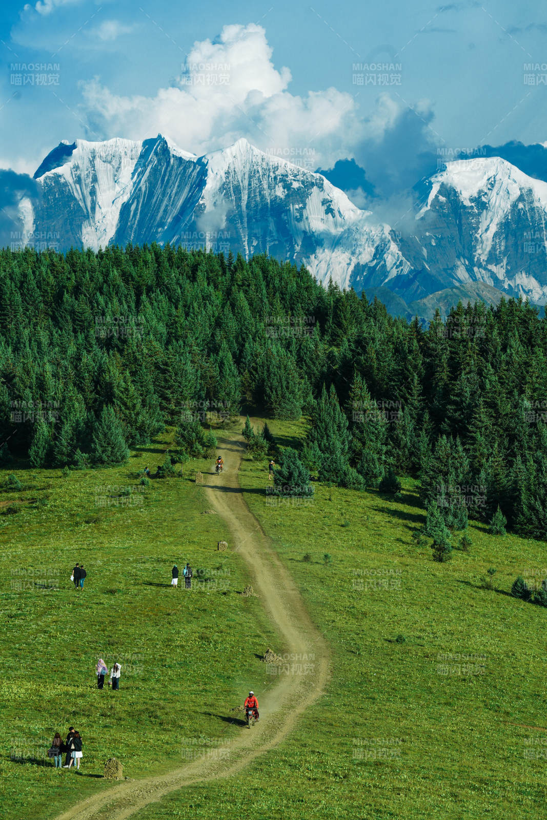 雪山下的森林小径图片