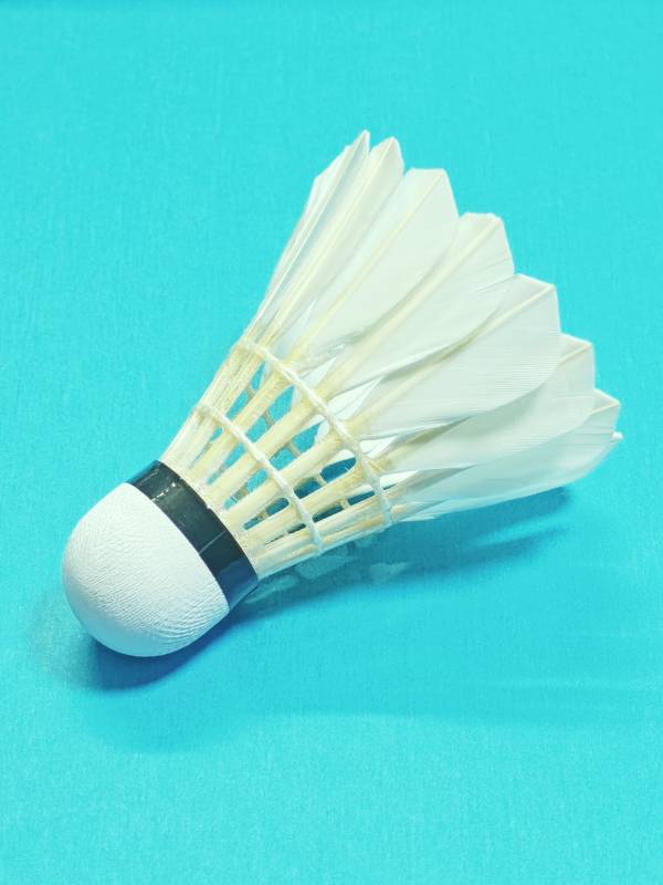 羽毛球特写图片