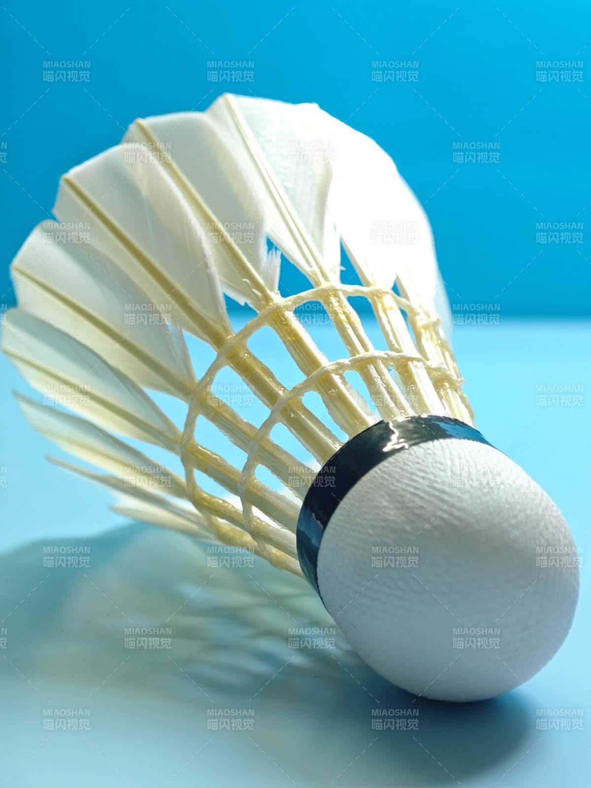 羽毛球特写图片