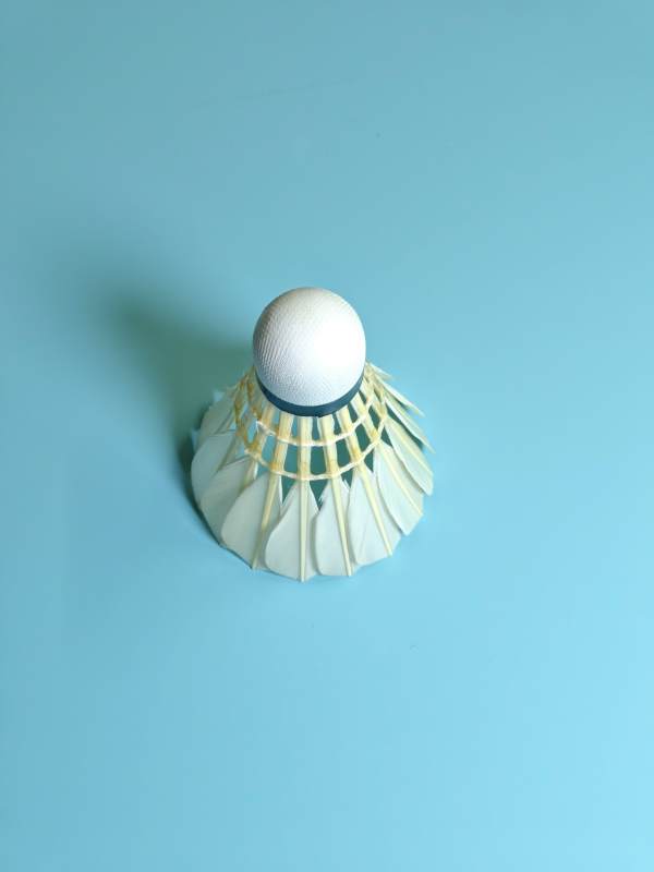 羽毛球在蓝背景图片