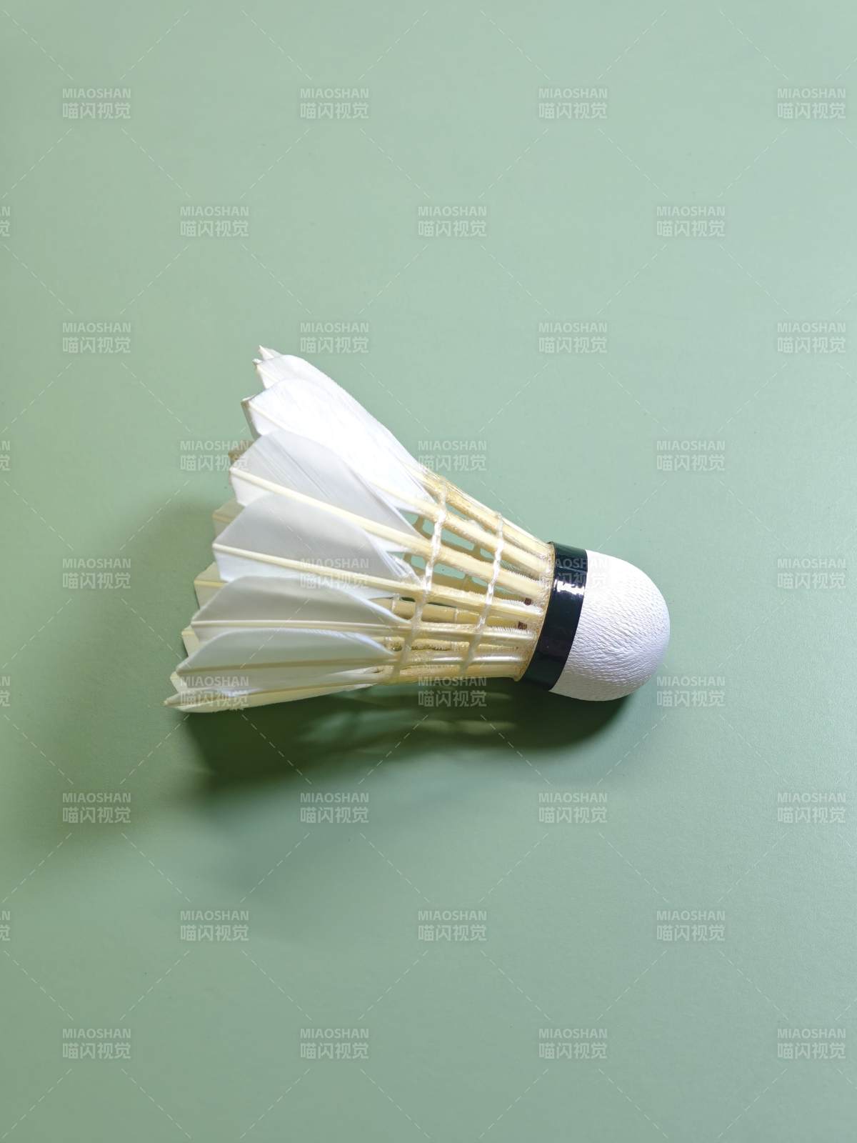 羽毛球的静谧时刻图片