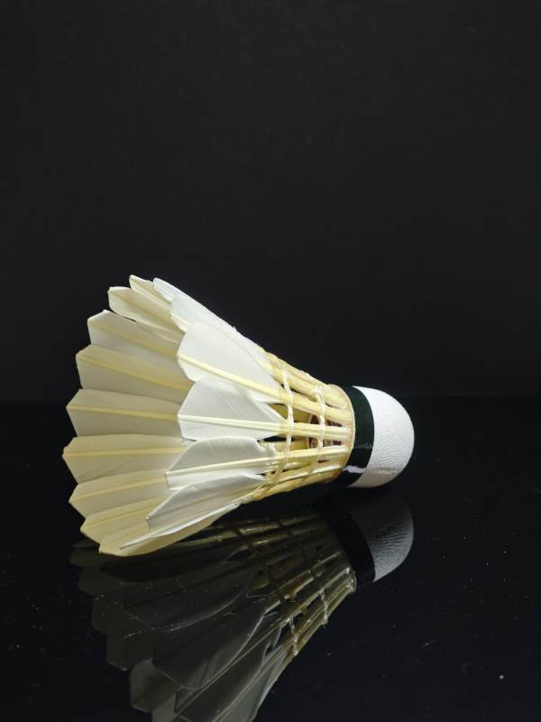 羽毛球的倒影图片