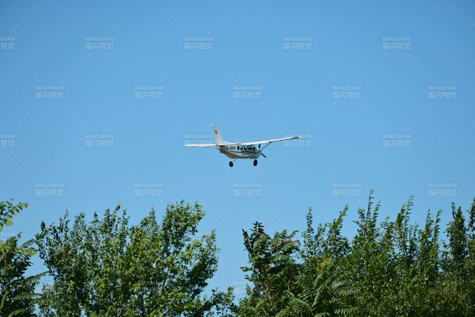 小飞机飞越树梢图片