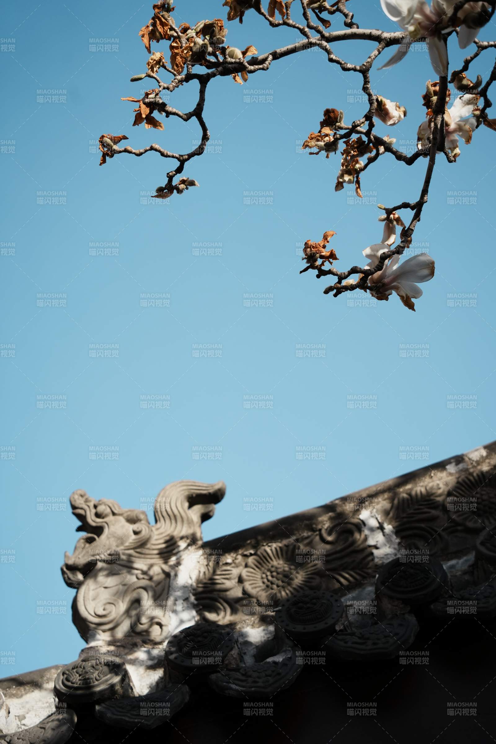 古建筑与花枝图片