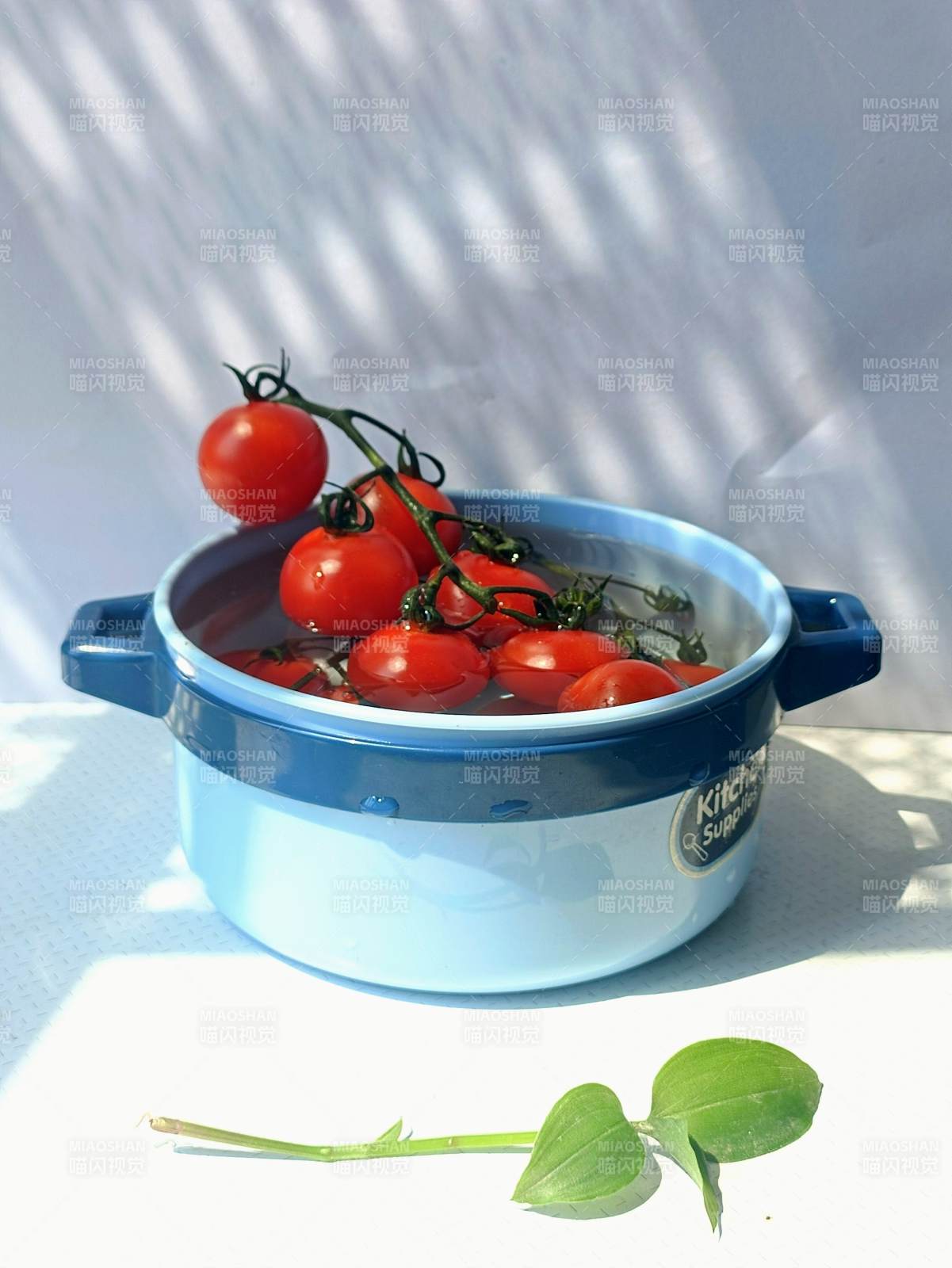 樱桃番茄蓝锅阳光照图片