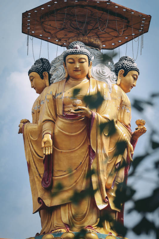 佛像庄严立 树影相伴图片